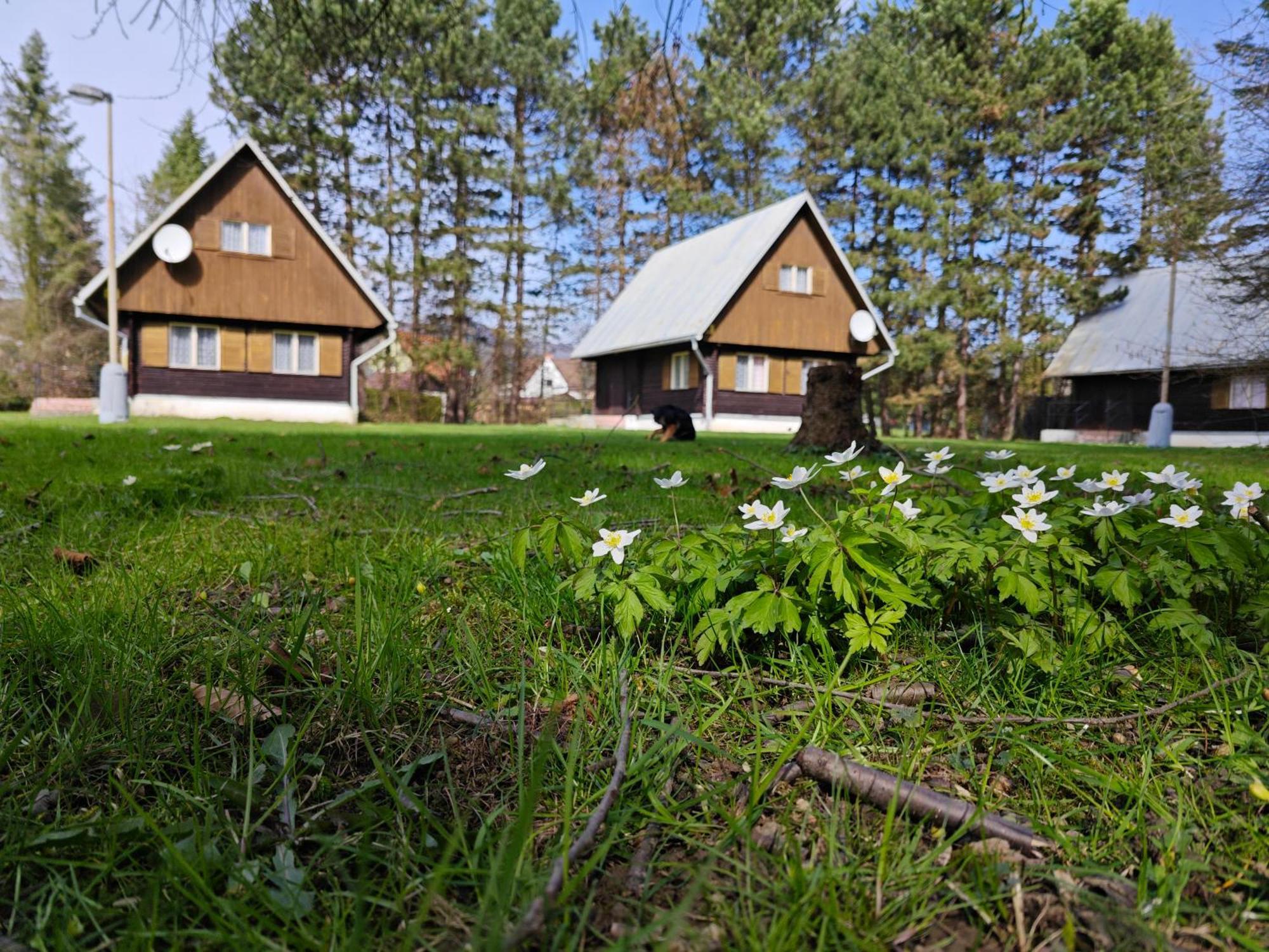 Rožnov pod Radhoštěm Bungalovy Roznov 빌라 외부 사진